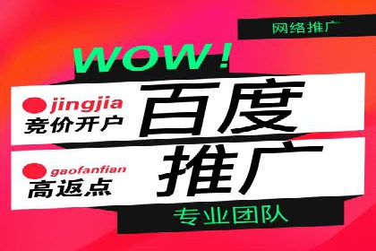 案例分享：如何利用竞价广告实现快速引流